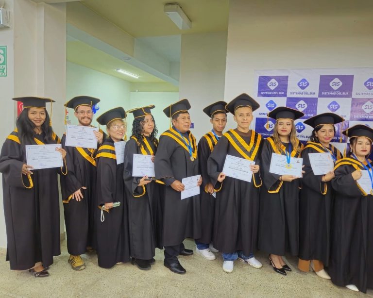 Actividad institucional de Sistemas del Sur